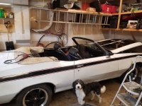 1970 skylark convertible project