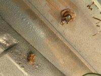 thumbnail_IMG_2868.jpg