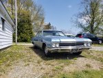 66' Wildcat